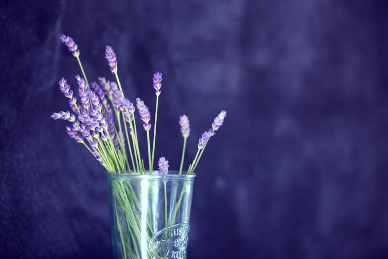 lavender essential oil for sleep